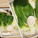남구-21 | 혼밥하기 좋은 포항 남구 효자동 맛집 - 샤브로21효자점 방문후기