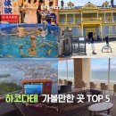 구암리 자전거도로 가로수 | 하코다테 관광지 추천 TOP5 여름 홋카이도 여행 어디 가면 좋을까?