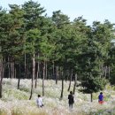 구월초등학교 이미지