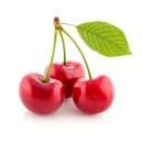 세현성형외과의원 이미지