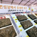 흙으로의 여행 이미지