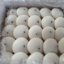 송화타운 이미지