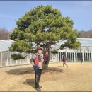 해피방 이미지