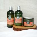 해바라기 헤어라인 이미지