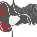 와이덱스보청기(잠실롯데점) 이미지