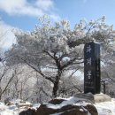 팔공산(1,151m)...100대명산-90- 이미지