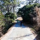 우제봉전망대 이미지