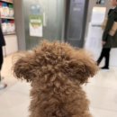 나은동물병원 이미지