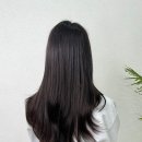 붙임머리따음 이미지