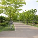 경마공원대로 이미지