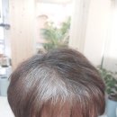 이삼칠 염색 두피관리