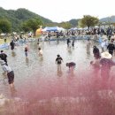 가야산아래 이미지