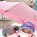 수지 MK스포츠