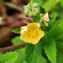 구로-공단-구로-29 이미지