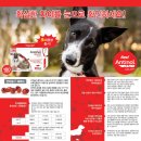 Dog.(독점) 이미지