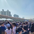 11545-12-22-10 | [2026 안양천 벚꽃마라톤] 10km 참가 후기_봄이었다_2026-04-12