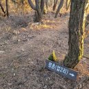 하회천 이미지