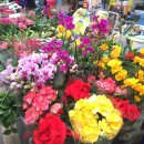 영진쌀상회 이미지