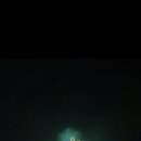 봄앤봄 플라워 카페 이미지