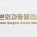 본외과동물의료센터 이미지