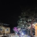 곡성 기차마을 애견동반펜션 이미지