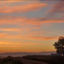 서일목장 이미지