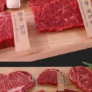 황금한우 이미지