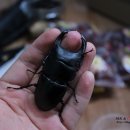 장풍이닷컴 이미지