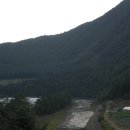 삼일민박 Daum카페