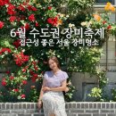 망원정마당 공중화장실 | 6월 수도권 장미축제 접근성 좋은 서울장미명소 가볼 만한 곳