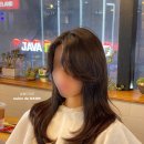 살롱드다온 이미지
