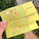 갤러리 774 | 서울 근교 벚꽃명소 대형카페 봄 파머스가든 개화시기 | 양평 애견동반 맛집
