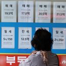 자유 부동산중개사무소 뉴스1