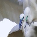 백학저수지 이미지