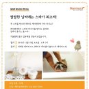 홈스파