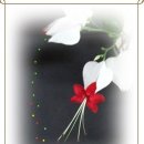 횡성산촌민박 이미지