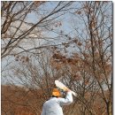 민속촌 - 당진시 | 민속촌