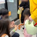 (주)수달앤쥬 | 수원 실내동물원 수달앤쥬, 솔직한 후기, 주차장