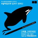 일민미술관 뉴시스