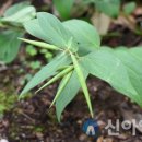 충남자원 이미지