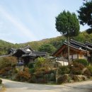 파티수용인 이미지