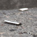 담배 - 80810 | 담배