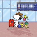 장일식당 | 2025년 8월 일기 - 태국 푸켓 여행(1)