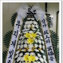 명품더조은 이미지