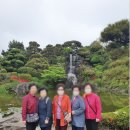 제주기사 이미지