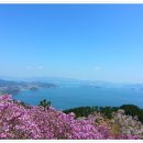 대금산농원