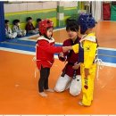 연제태권도 이미지