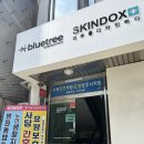 서울 성우학원 성우취미반 레슨 후기 블루트리엔터