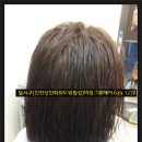 동원화원 이미지