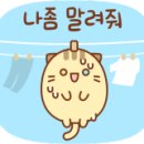 주산연구소